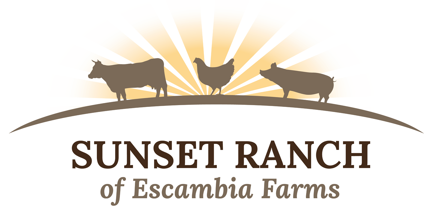 Logo of Sunset Ranch of Escambia Farms featuring silhouettes of a cow, chicken, and pig against a sunburst background, symbolizing sustainable farming and animal husbandry.